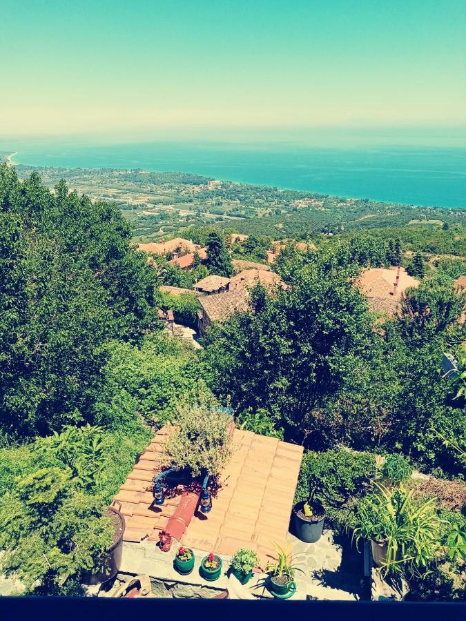 Maison d'hôtes Erato *